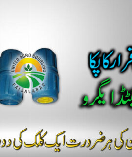 One Hole Nozzle (307)