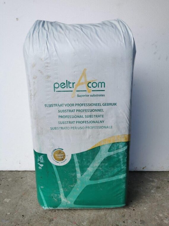 Peat Moss