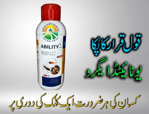 ABILITY