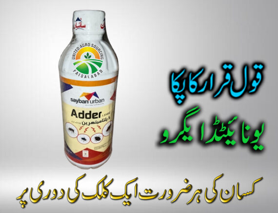 Adder