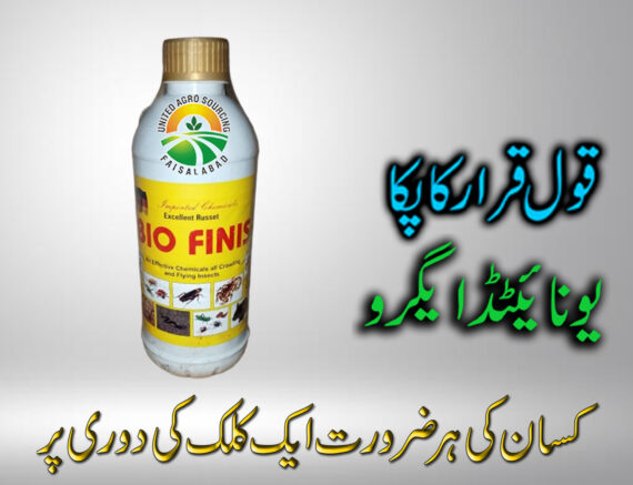 BIO FINIS