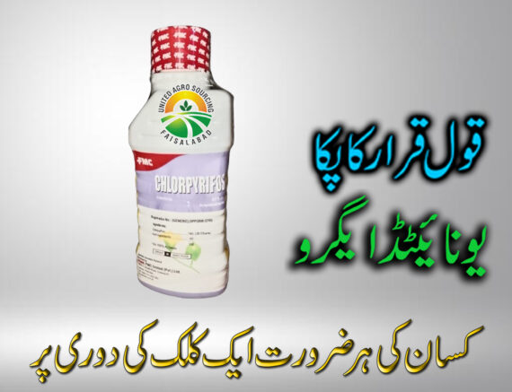 CHLORPYRIFOS