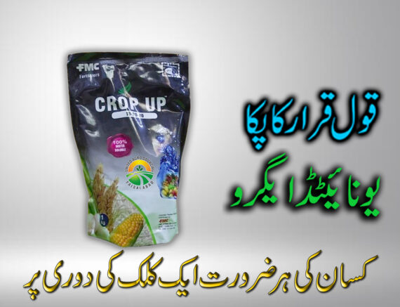 CROP UP