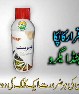 Chopat 1 Liter (348)