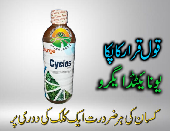 Cyclos