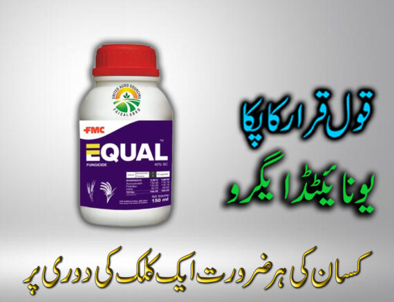 EQUAL