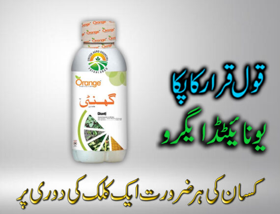 Ghanti