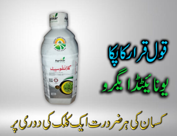 Glyphosate