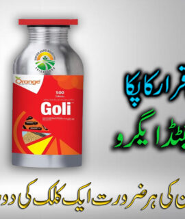 Goli (356)