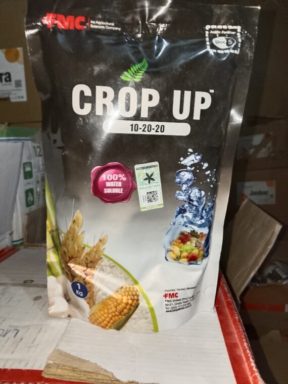 CROP UP