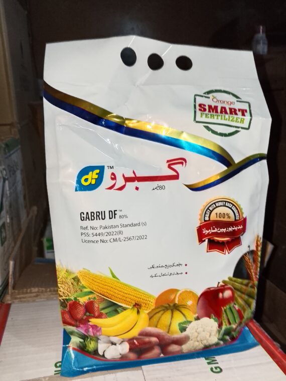 Gabro