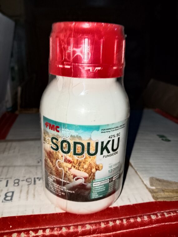 Soduku