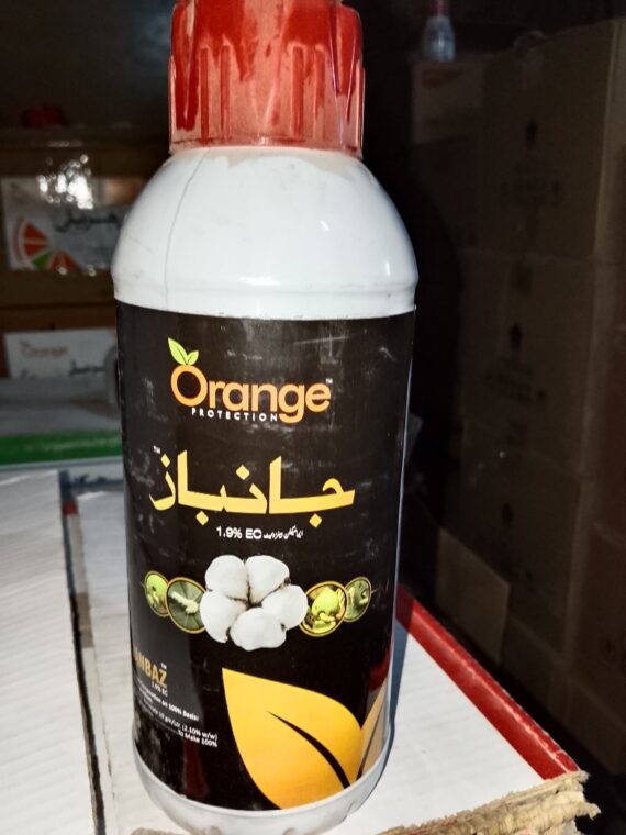 JANBAZ