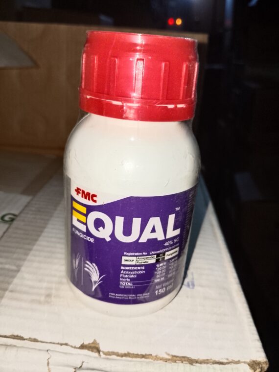 EQUAL