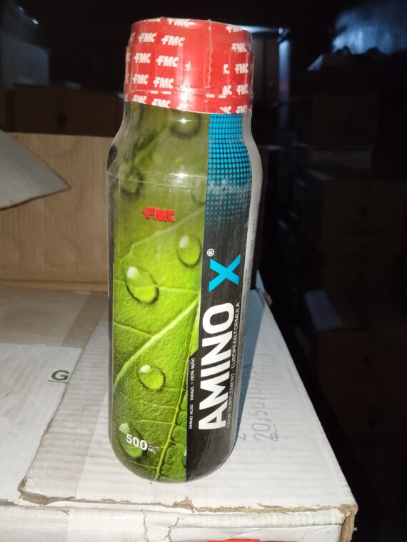 AMINO X