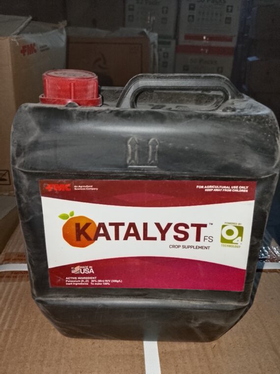 KATALYST FS