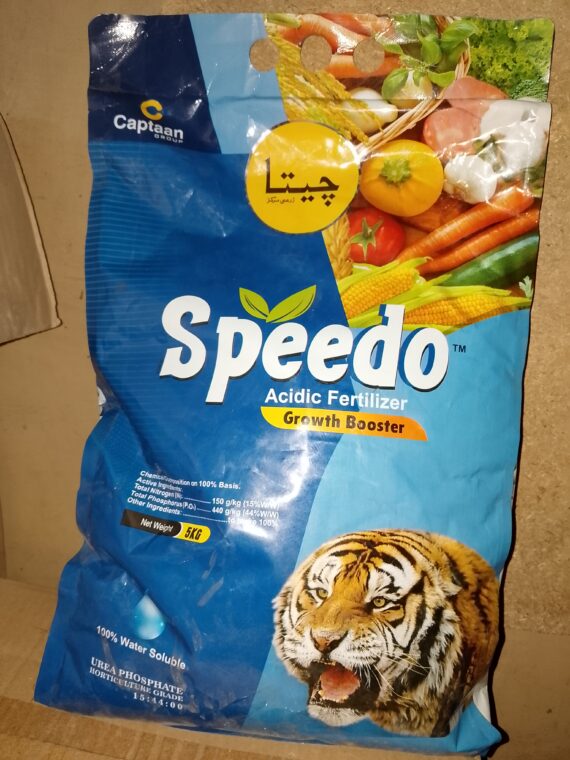 Speedo