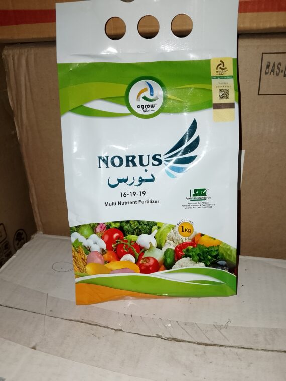 NORUS