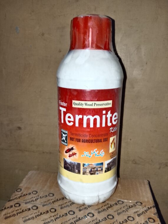 Termite