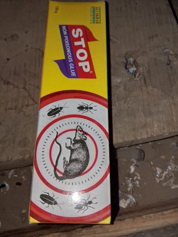 STOP Rat kill