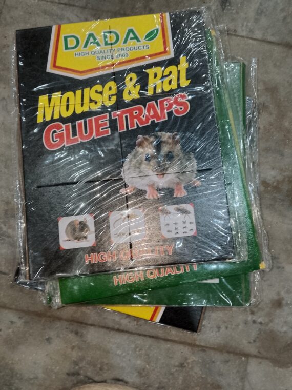 RAT GLUE TRAPS