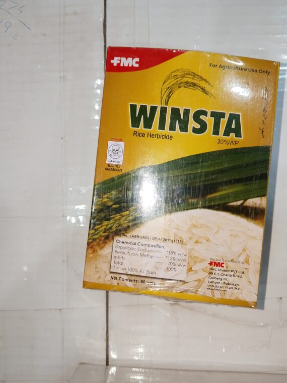 WINSTA