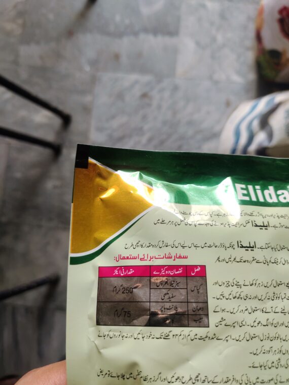 Elida - Image 2