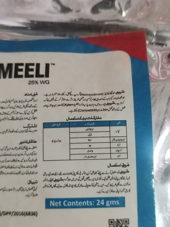 SHARMEELI - Image 2