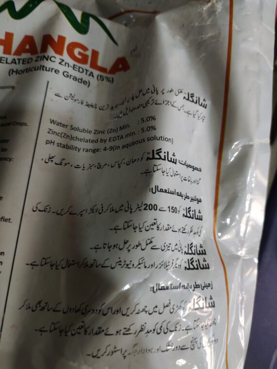 SHANGLA - Image 2