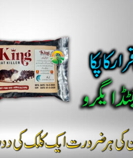 King RAT KILLER (392)