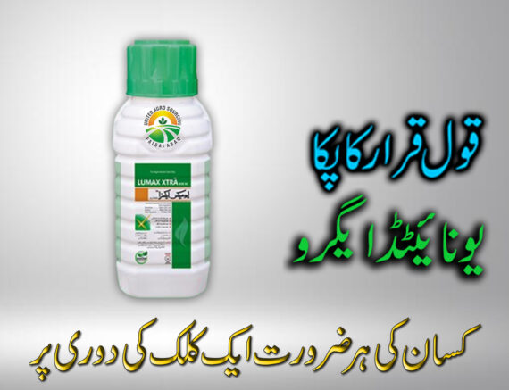 Lumax Xtra