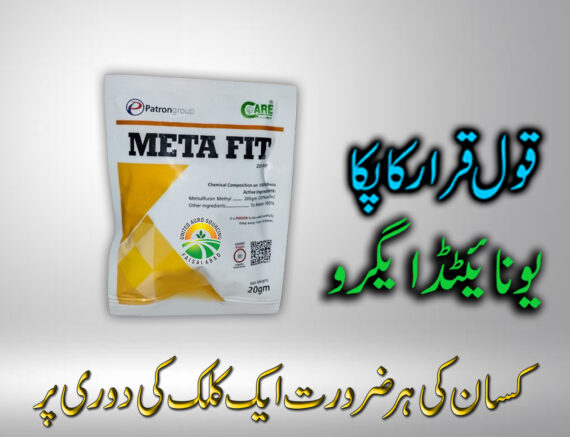 META FIT