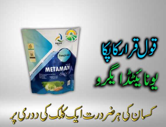 METAMAN