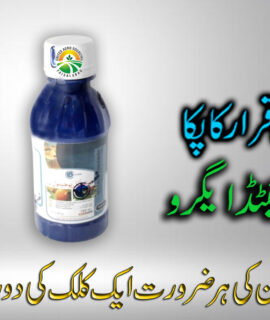 METHYL EUGENOL (371)