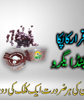 Multi Plus Chocolate Chip (201)