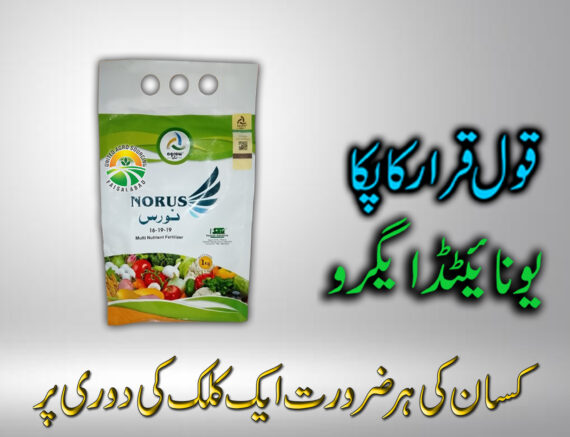 NORUS