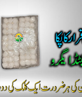 Phenyle Tablet (205)