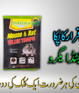 RAT GLUE TRAPS (399)