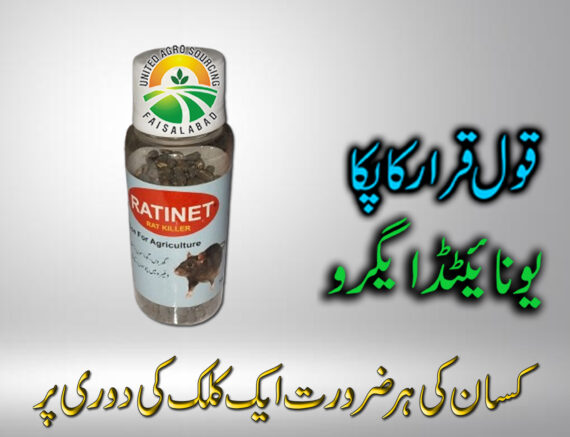 RATINET