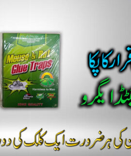 Super Glue Rat Boards (407)