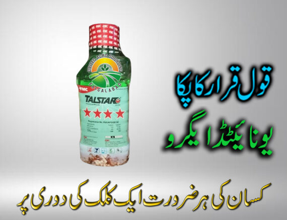 TalStar FMC