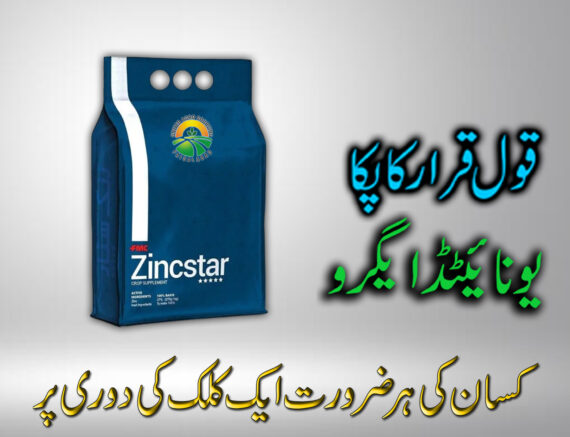 Zincstar