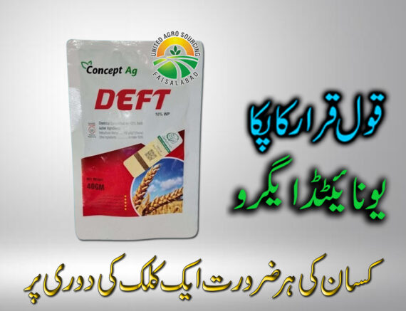 DEFT