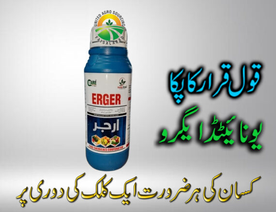 ERGER