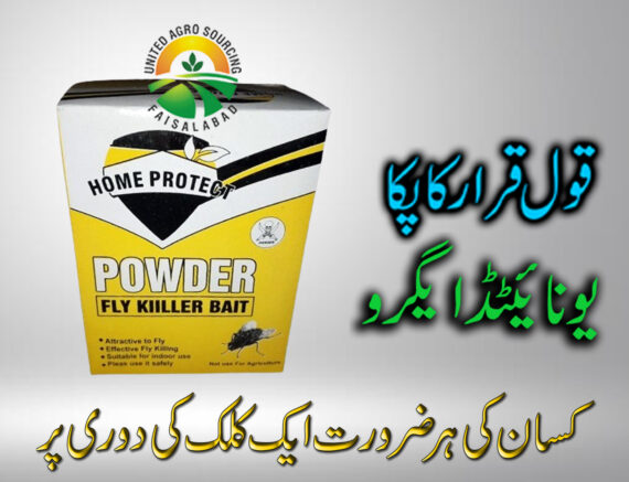 FLY KILLER BAIT