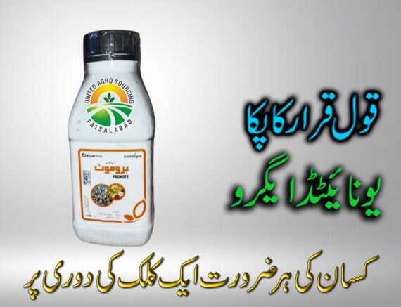 PROMOTE