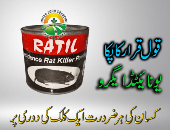 RATIL