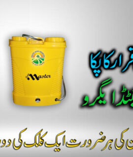 Master Spray Machine (570)