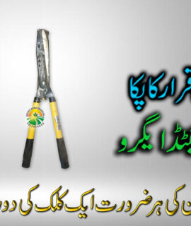 Big Garden Scissors (065)