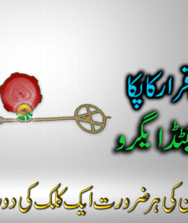 Petrol Tank Cap (497)